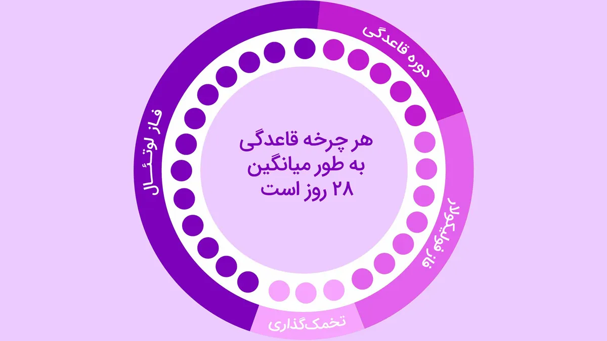 آشنایی با چرخه قاعدگی